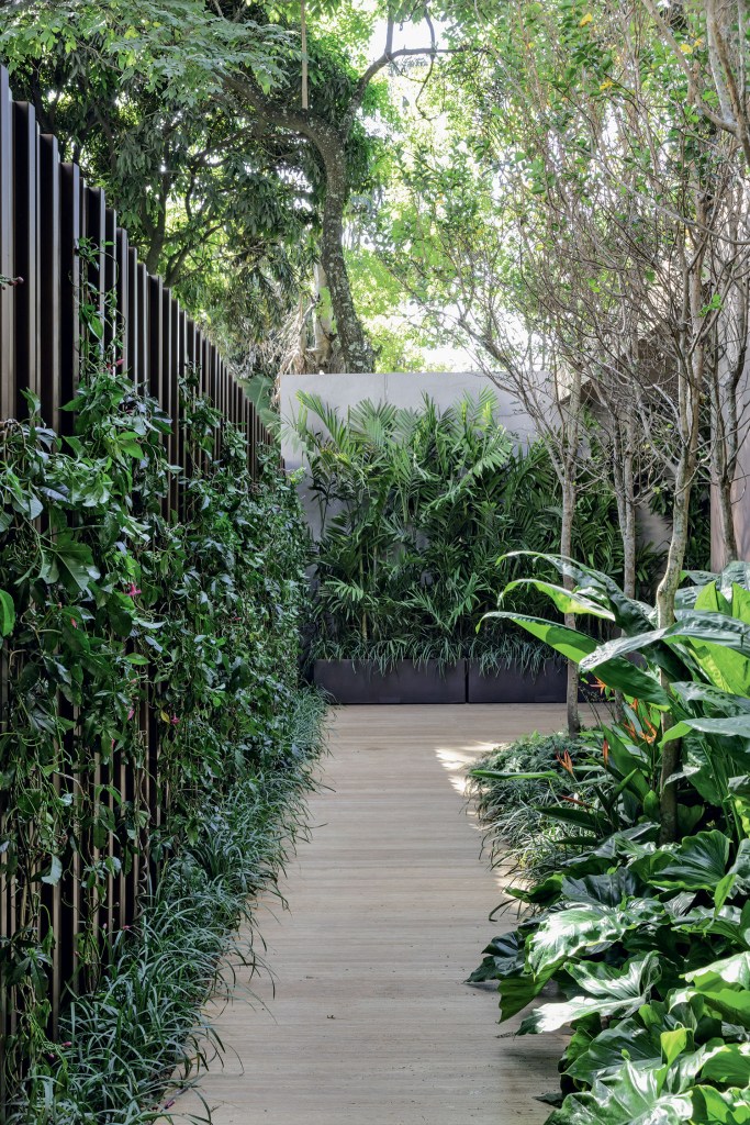 3-jardim-cenario-paisagismo-casacorsp2018 Vegetação exuberante de jardim se integra à arquitetura na CASACOR SP 2018
