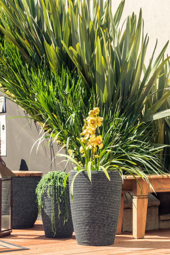 Casa Cor Jardim do Entardecer – Myrian Marquez 3 CASACOR SP: um jardim de apenas 16 m² inspirado na cultura grega