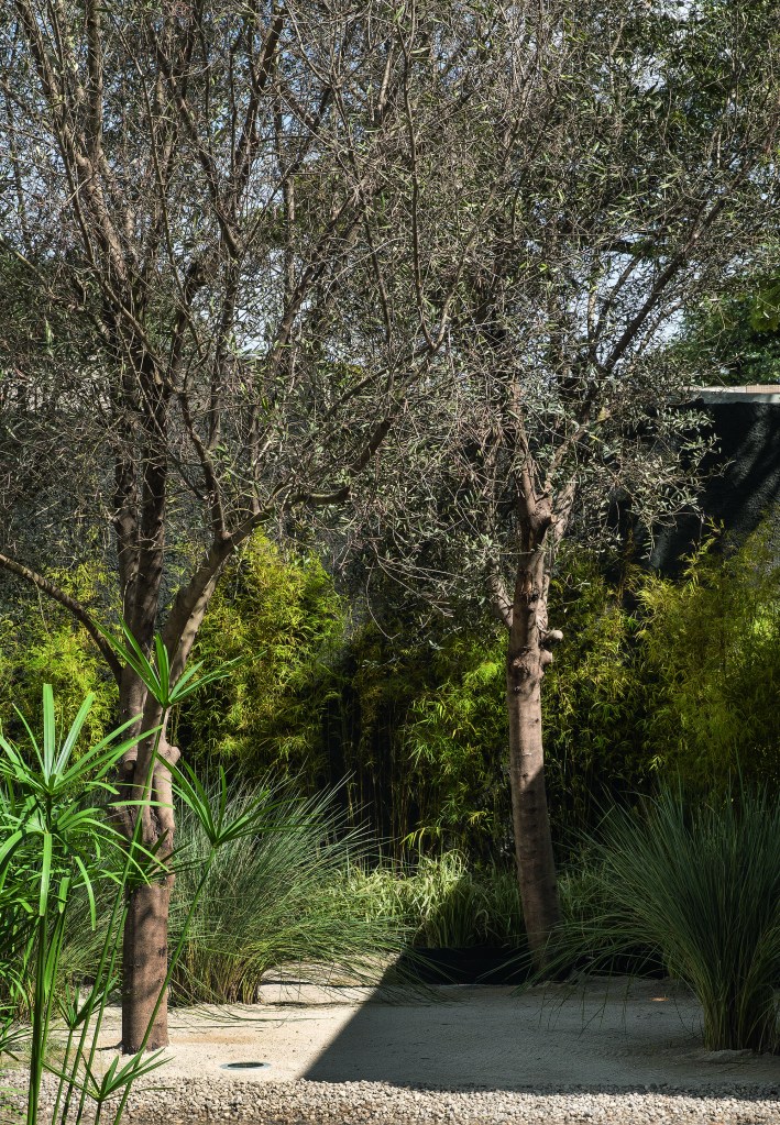 _MGL6488 Tempo e qualidade de vida inspiram jardim da CASACOR SP 2018