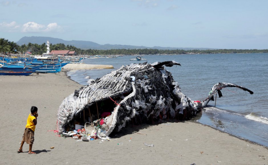 baleia ONU Meio Ambiente promove a limpeza de mares e rios em setembro