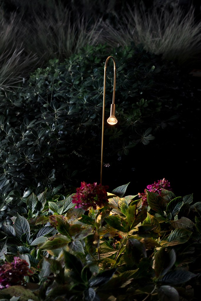 MDP 2018_7 Natureza e iluminação criam universo mágico em instalação na Itália