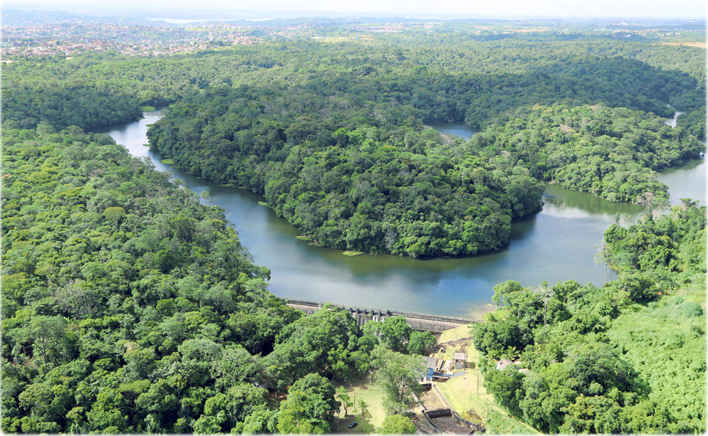parque-sao-bartolomeu 4 cidades do Brasil participam do Cities4Forests preservando a natureza