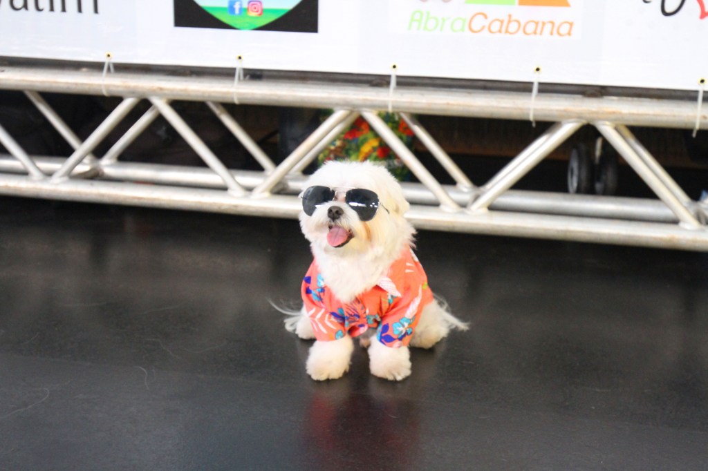 IMG_5006 CASACOR Brasília 2018 é palco para desfile de pets