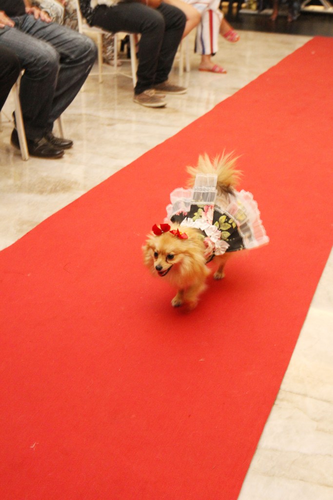 IMG_5754 CASACOR Brasília 2018 é palco para desfile de pets