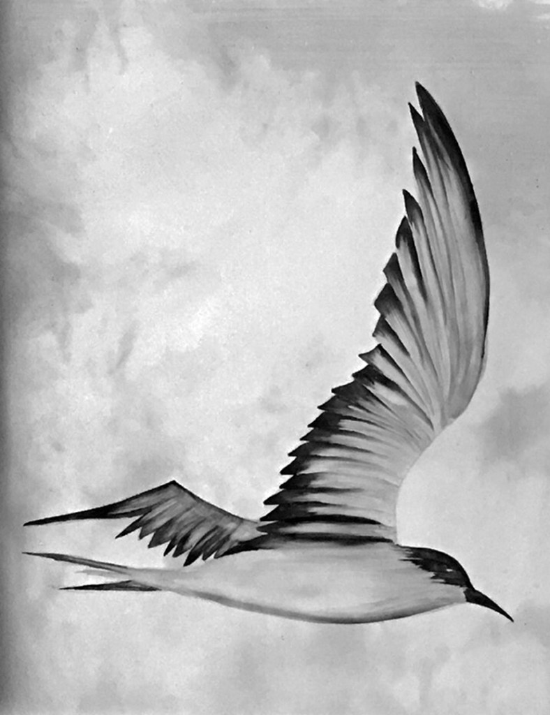 anita foto 6 Entre Águas e Revoadas: as novas exposições da Anita Schwartz Galeria