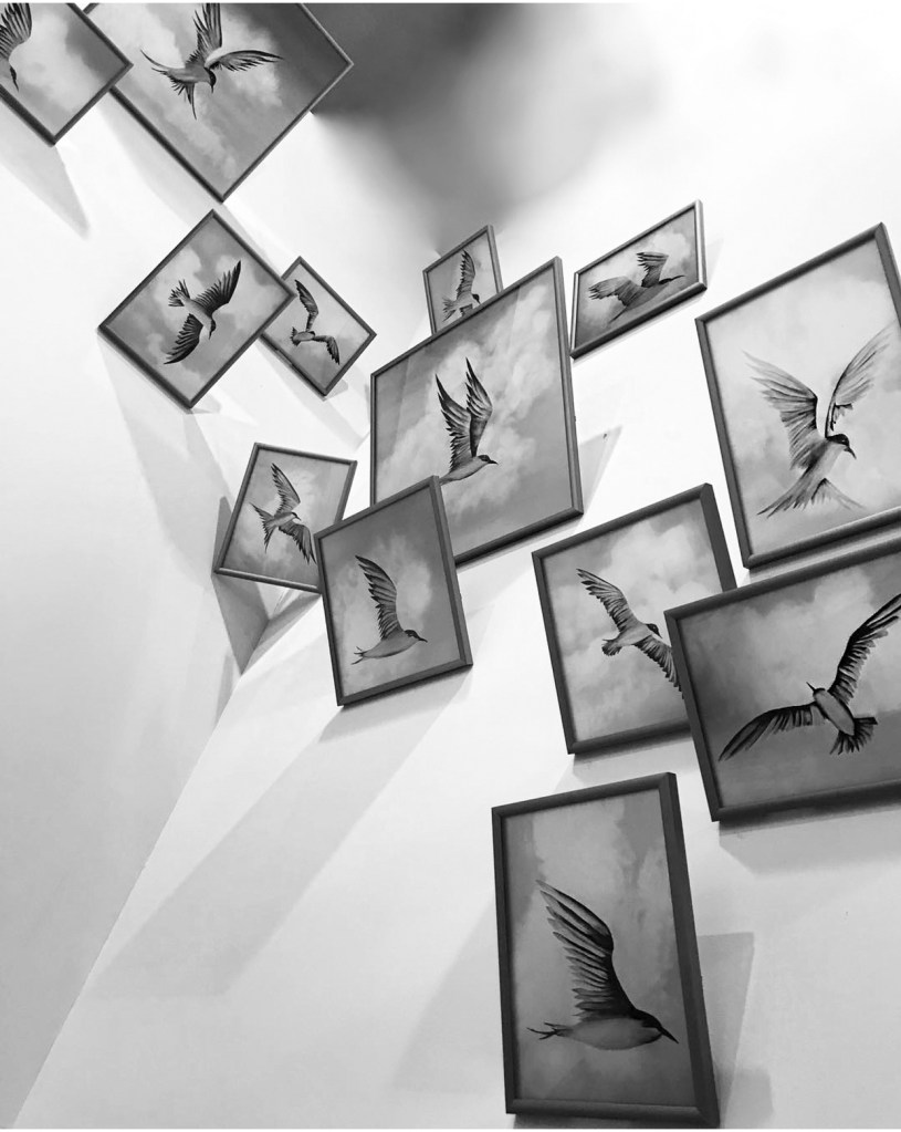 anita foto 7 Entre Águas e Revoadas: as novas exposições da Anita Schwartz Galeria