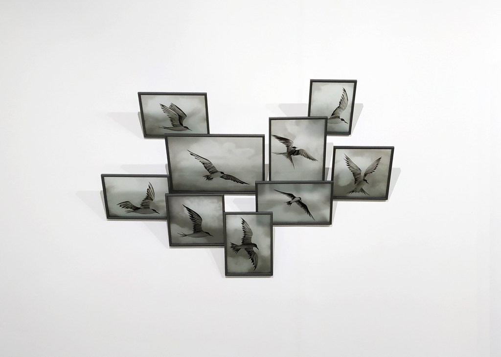 anita foto 8 Entre Águas e Revoadas: as novas exposições da Anita Schwartz Galeria