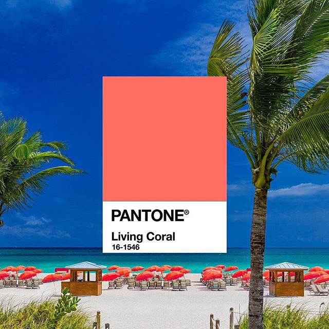 living-coral-pantone Living Coral: a cor da Pantone para 2019