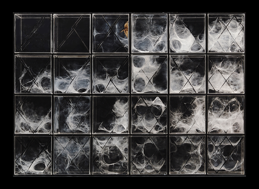 1_XenoDerma ©Urban Morphogenesis Lab The Bartlett UCL Arqueologia da vida natural e artificial é tema da La Fabrique du Vivant