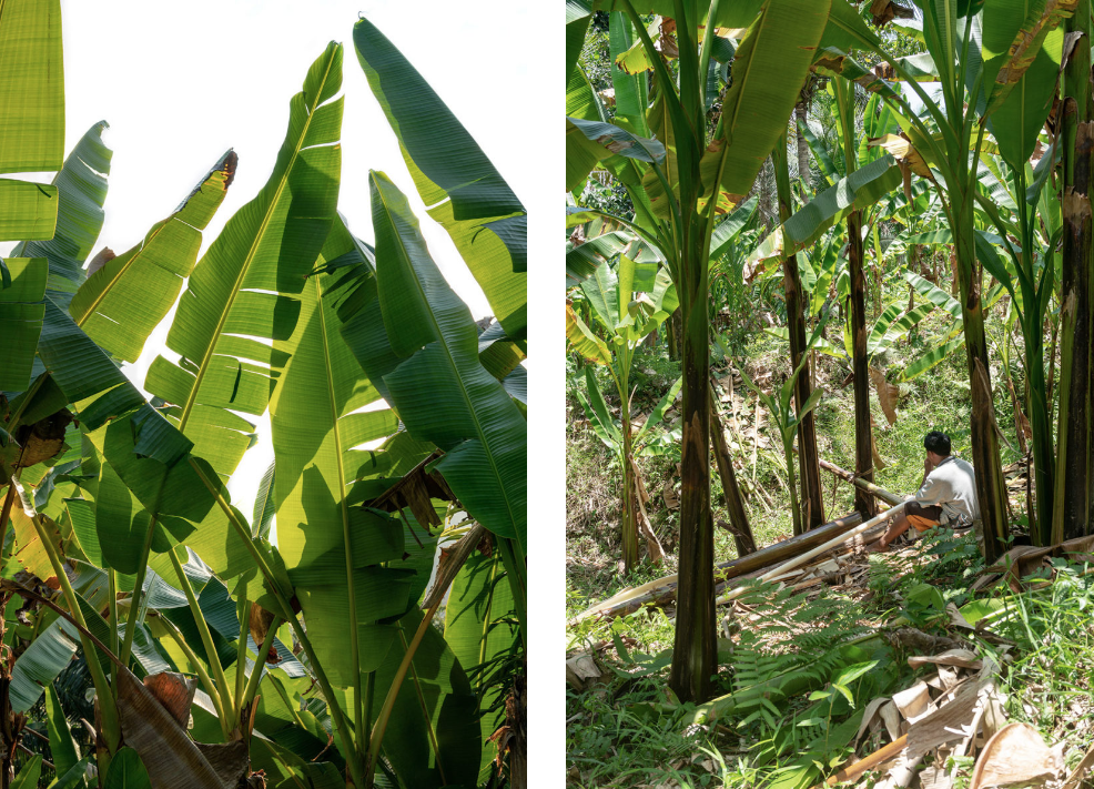 05-bananatex-milan-2019 Milão 2019: empresa suíça lança tecido feito da fibra de bananeiras