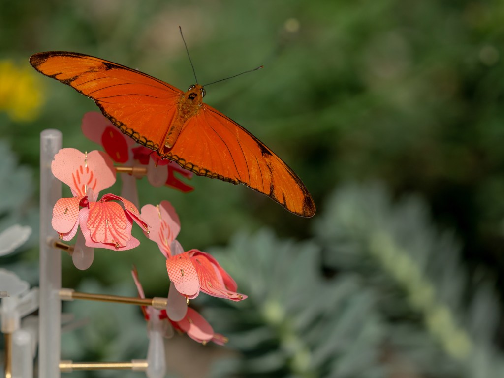 Designer cria flores artificiais para alimentar insetos urbanos