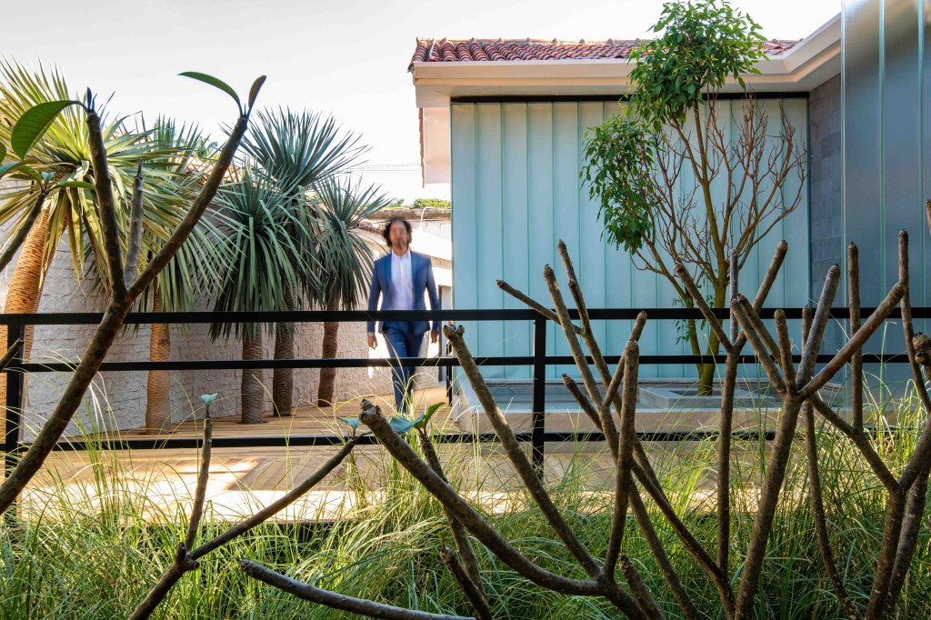 Jardim dos Dragoeiros_Luciano Zanardo_CASACOR SP (Favaro Jr) 07 Jardim dos Dragoeiros valoriza espécies brasileiras na CASACOR SP 2019