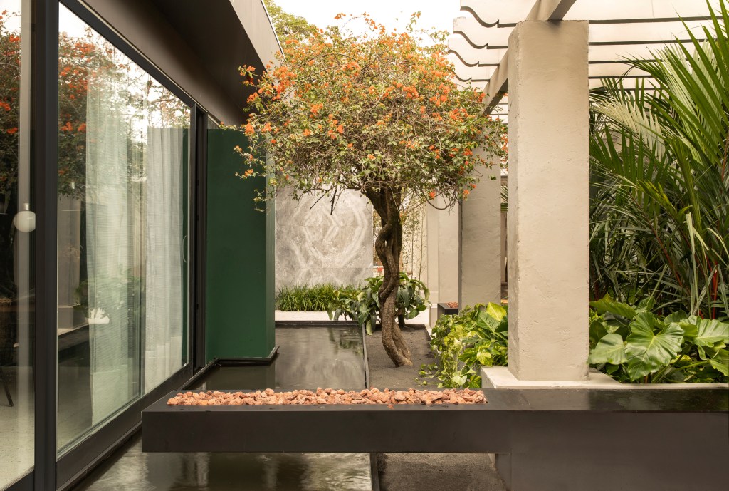 jardim-dos-sentidos-bia-abreu-casacor-sp-2019-felipe-araujo_1 CASACOR SP 2019: tropical conversa com linhas retas no Jardim do Sentidos