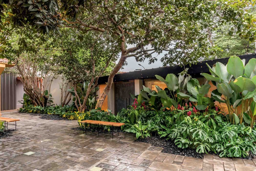 clarica-lima-jardim-bauhaus-casacor-sp-2019-1 Vanguarda alemã é linha mestra na composição de jardim na CASACOR SP