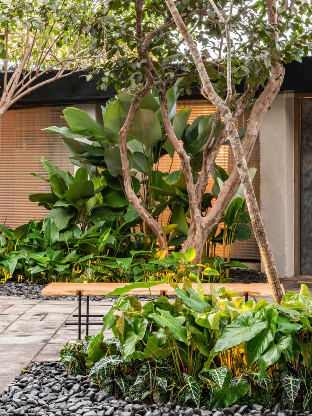 clarica-lima-jardim-bauhaus-casacor-sp-2019-7 Vanguarda alemã é linha mestra na composição de jardim na CASACOR SP